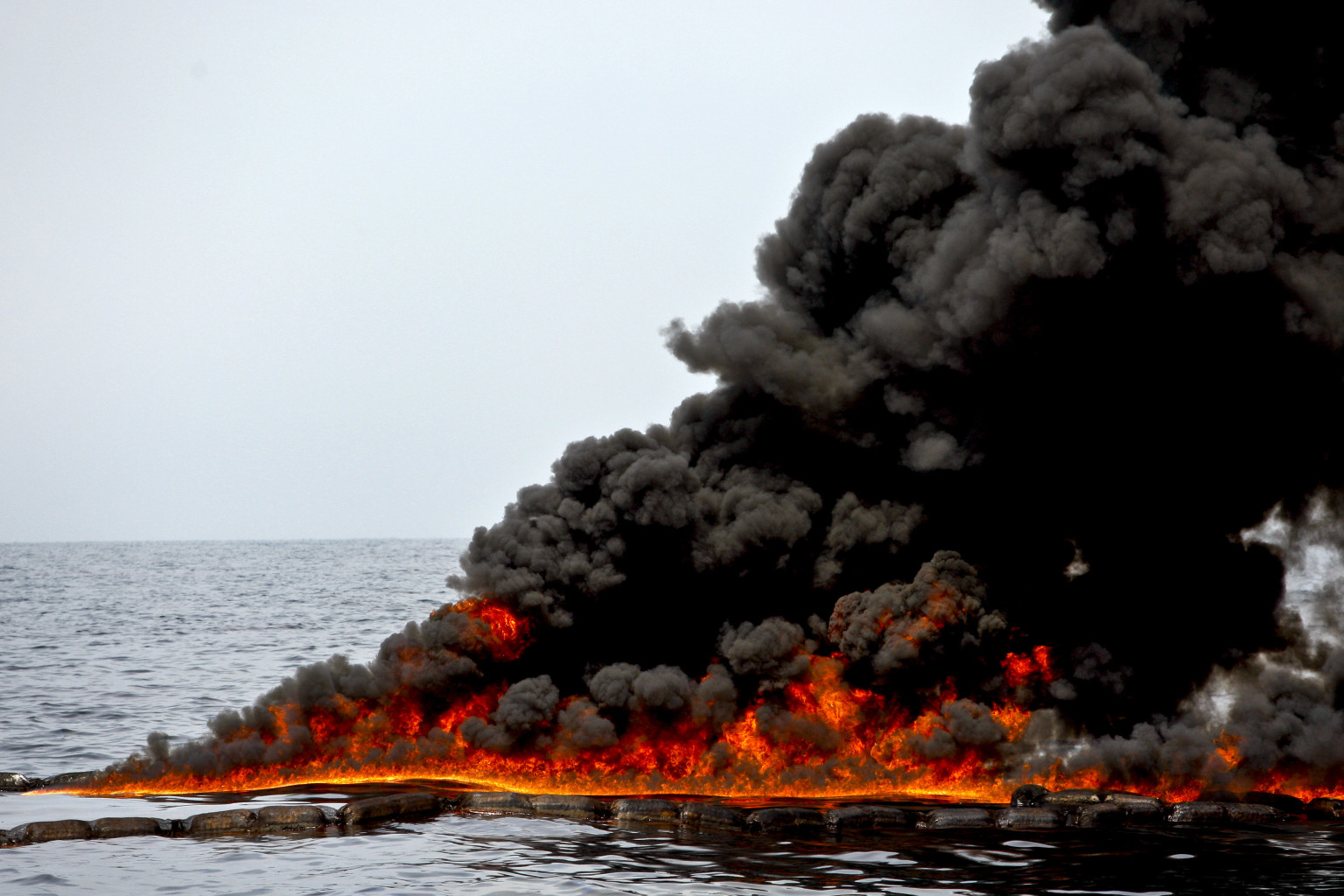 Bp Oil Spill