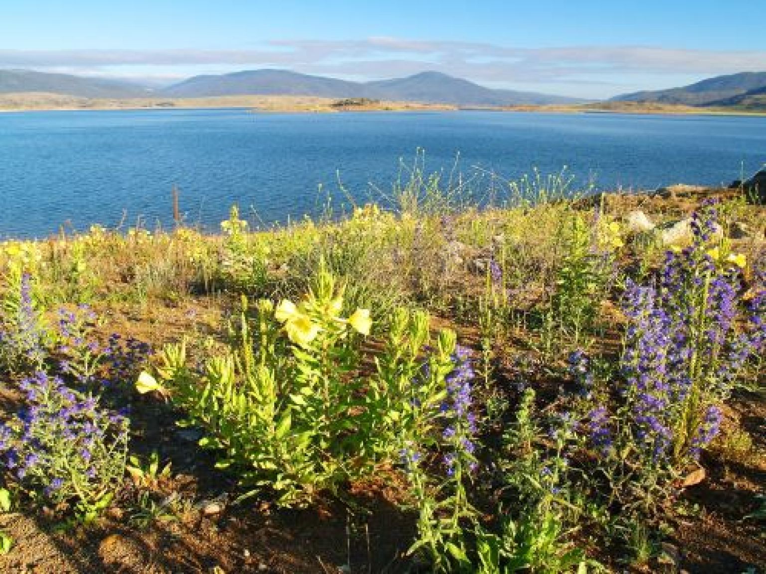 5 Things to Love About Jindabyne, Australia HuffPost