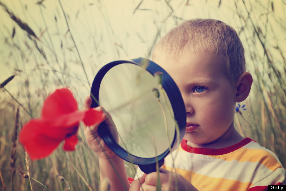 magnifying glass flowers