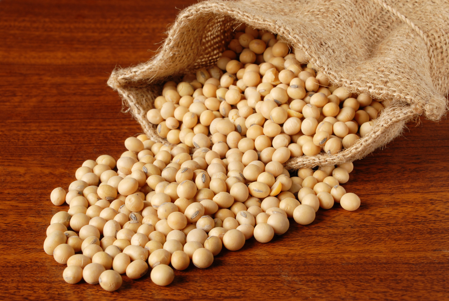 soybean-compound-genistein-shows-promise-for-treating-hiv-huffpost