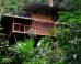 WATCH: The Ultimate Treehouse Community