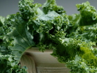 6 Things You Don't Know About Kale