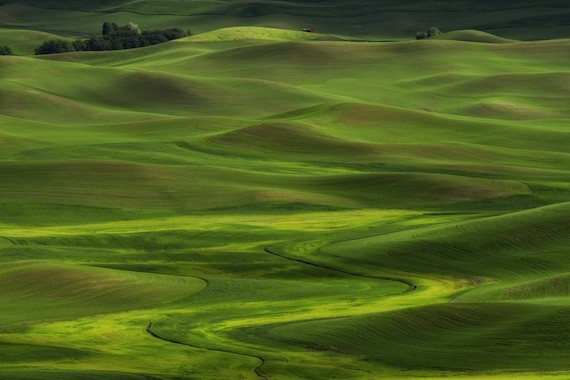 steptoe butte state park