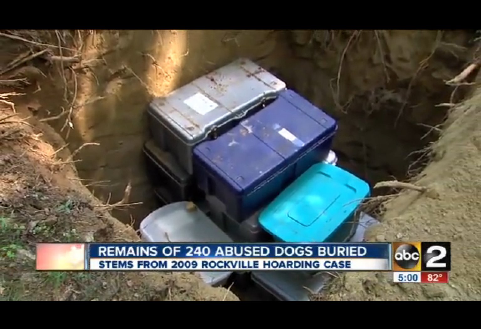 240 Dogs Buried In Maryland After Their Ashes Were Found In Home Of