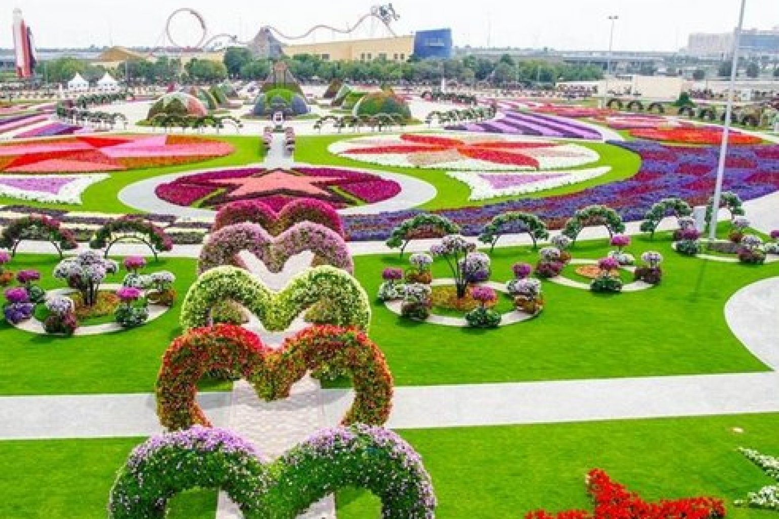 Dubai Miracle Garden Is One Of The Most Amazing Things We Ve Seen Photos Video