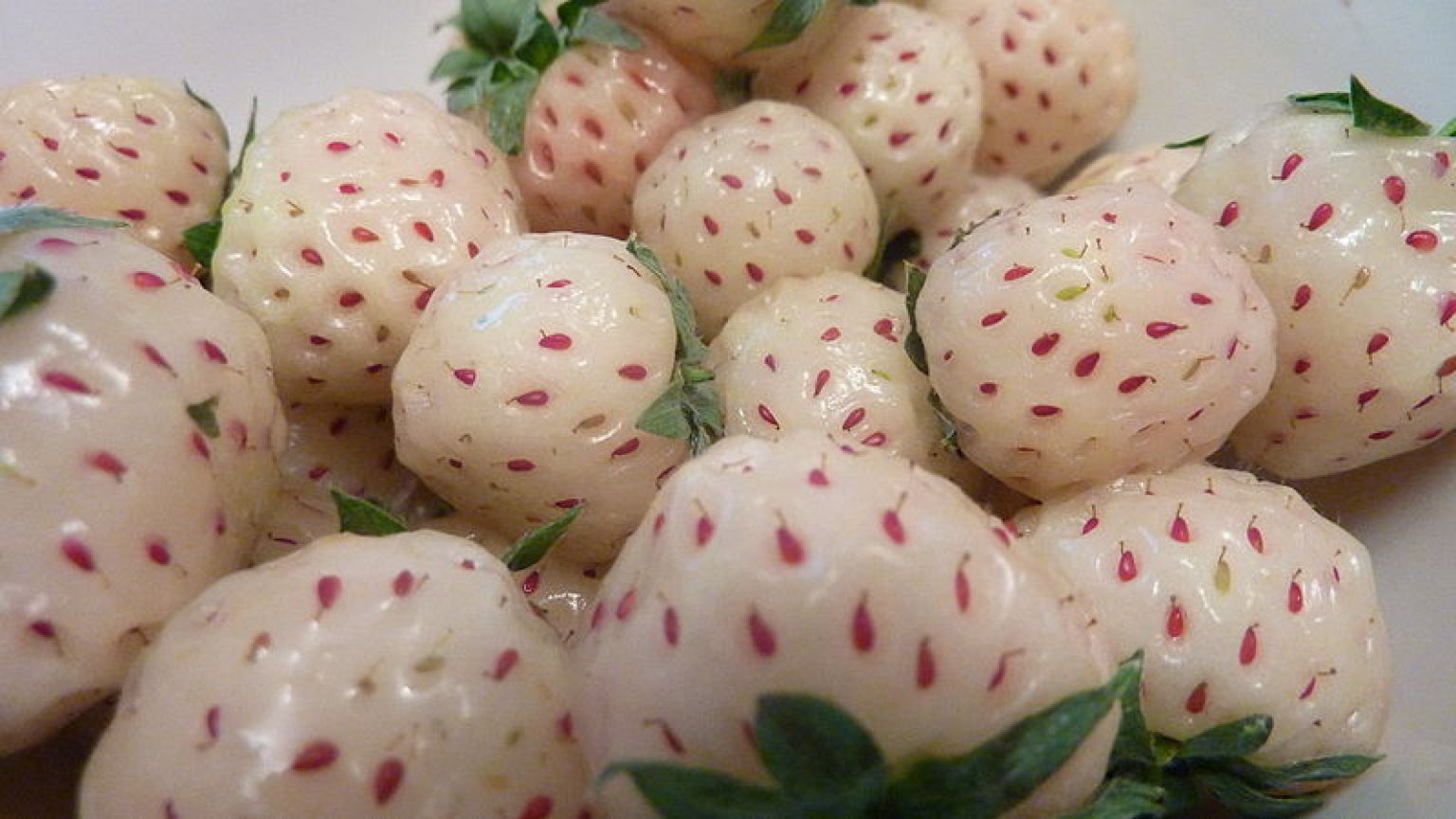 10-fantastical-hybrid-fruits-worth-knowing-photos-huffpost