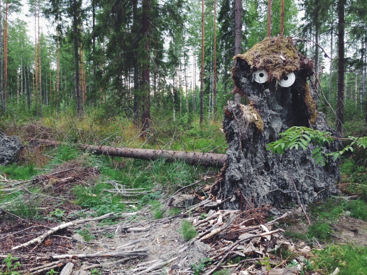 mother-nature-looks-way-cuter-with-additional-googly-eyes-photos