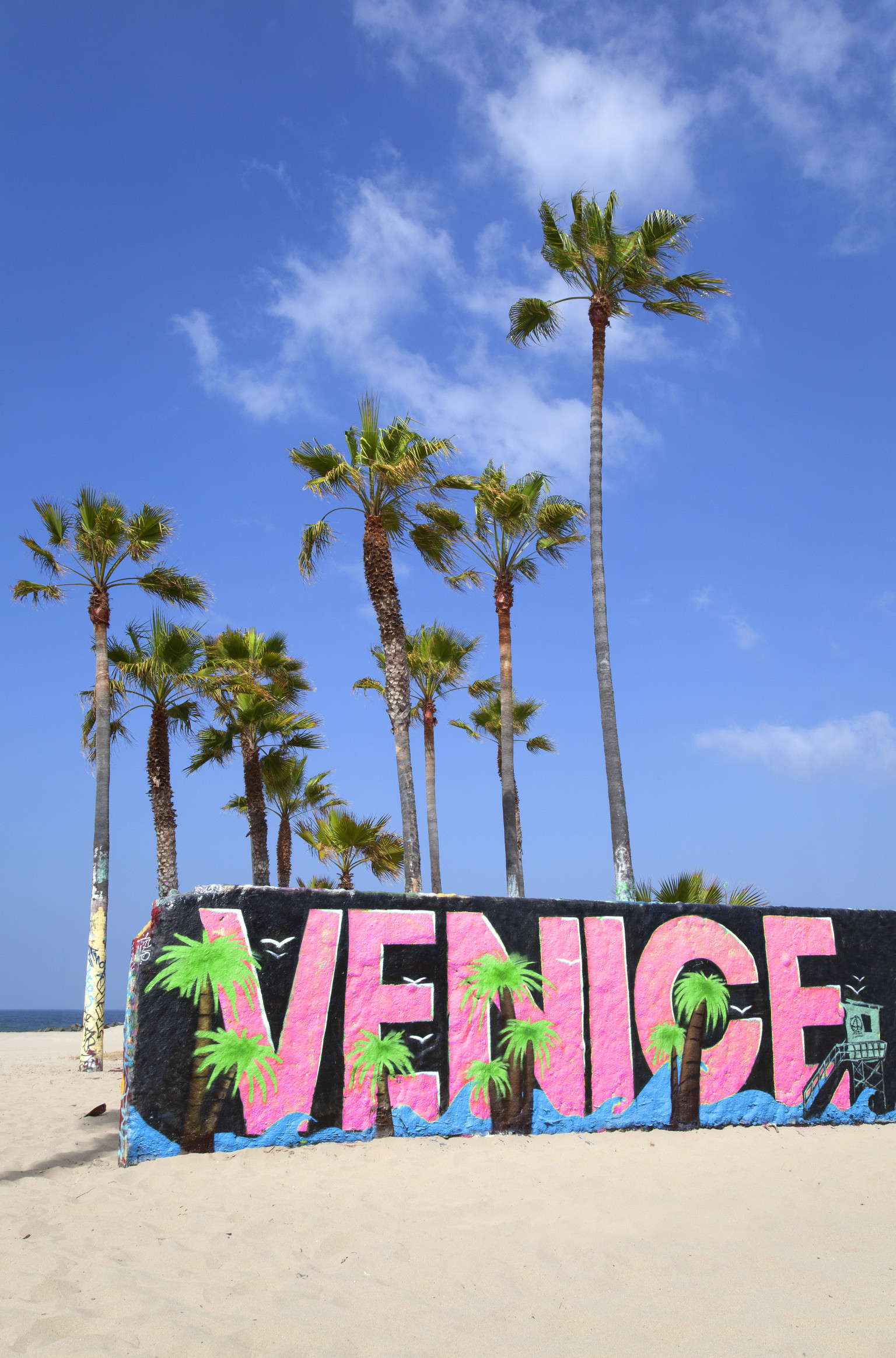Top 8 Reasons to Visit Venice, California | Desi Globetrotter