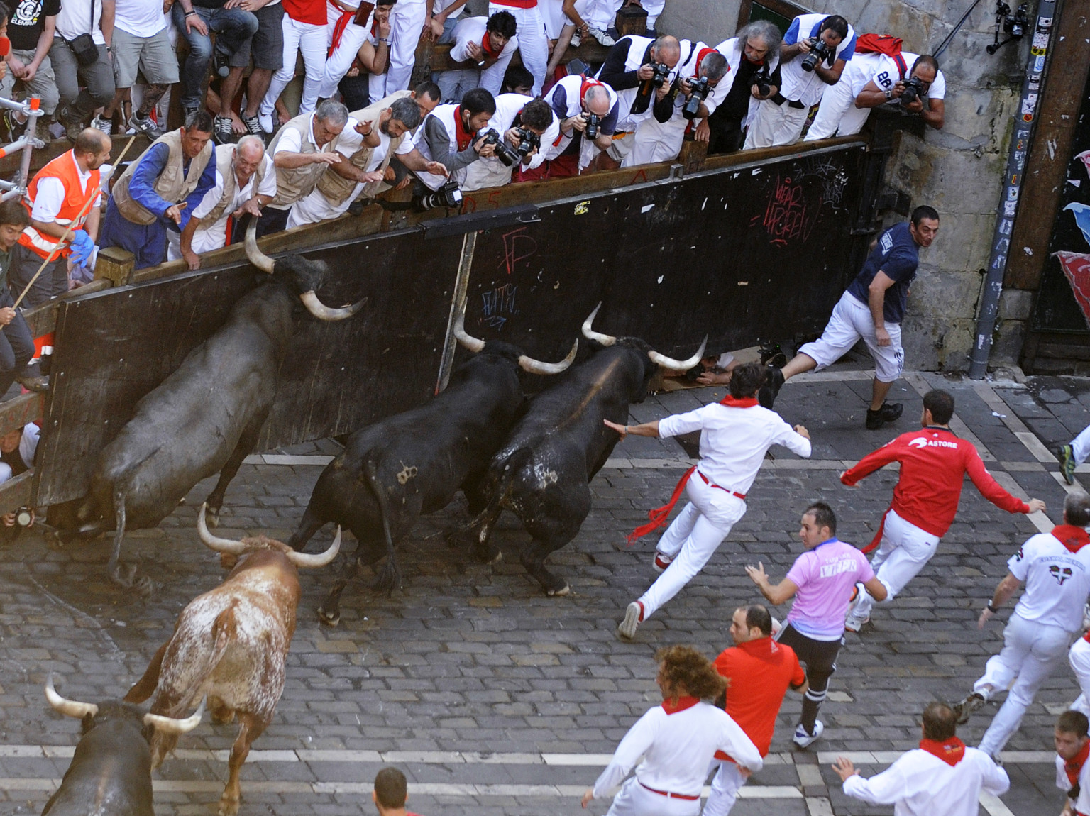 Great Bull Run In Chicago Spanish Tradition Coming To Windy City In