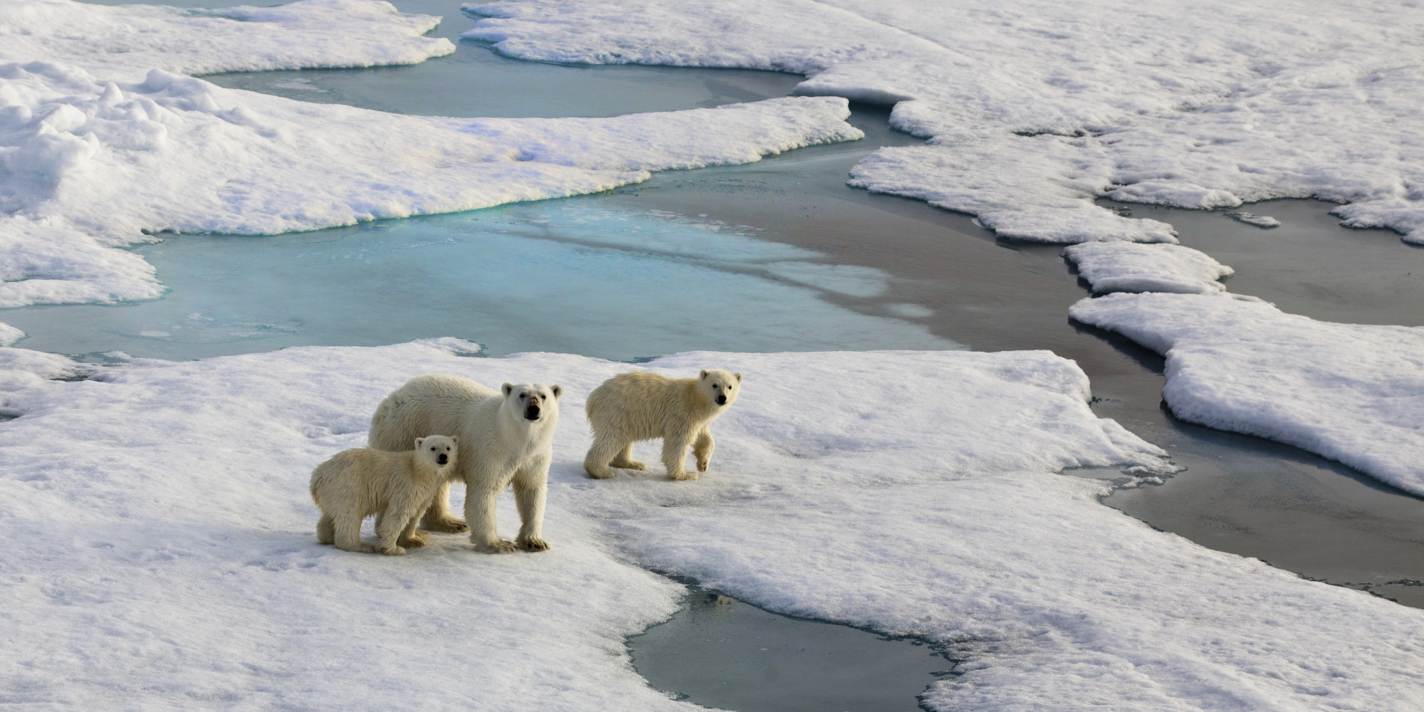 records-for-arctic-ice-melt-greenhouse-gas-emissions-in-2012-as-world