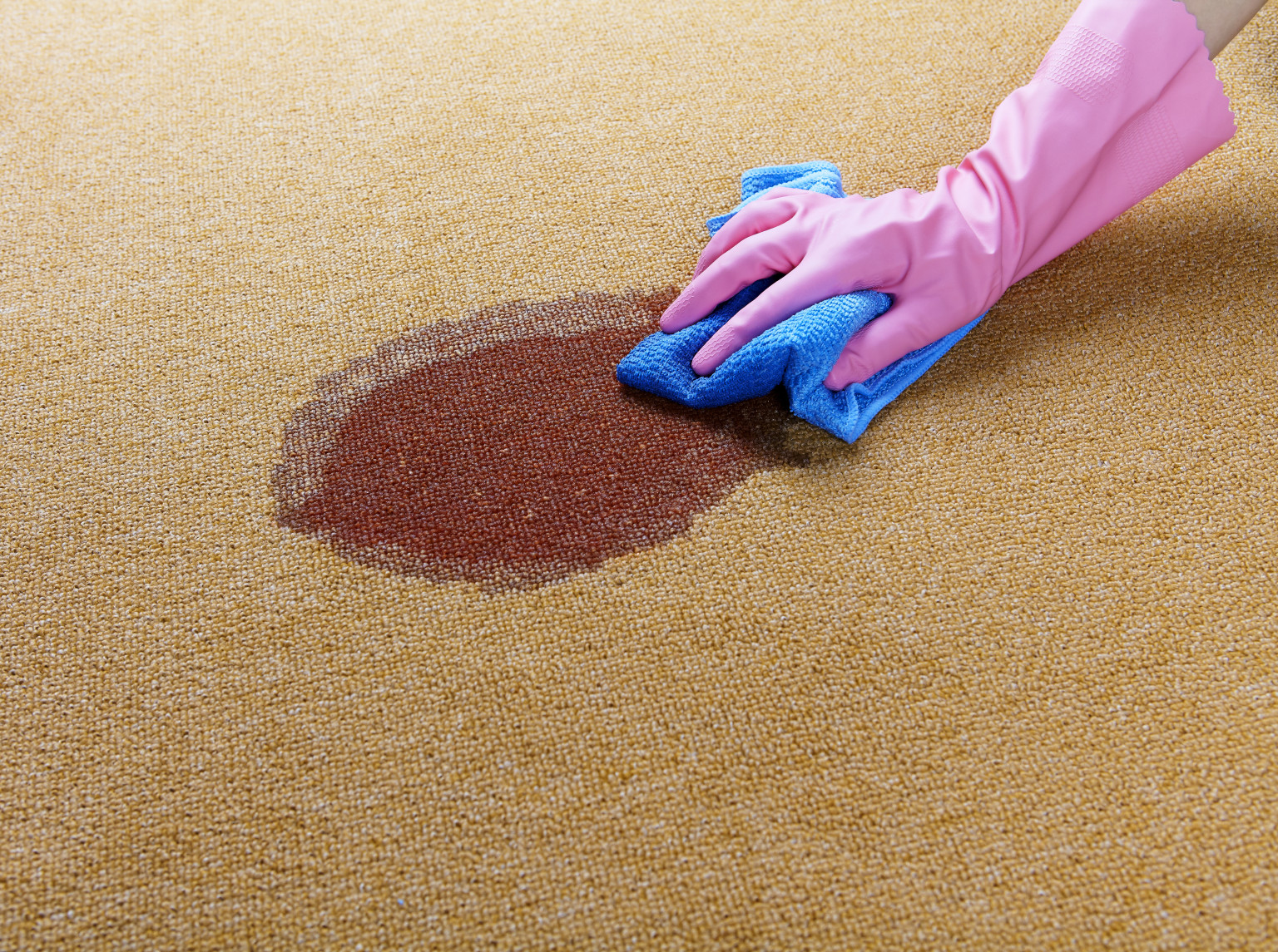 Youtube How To Remove Blood From Carpet at Eliza Hampton blog