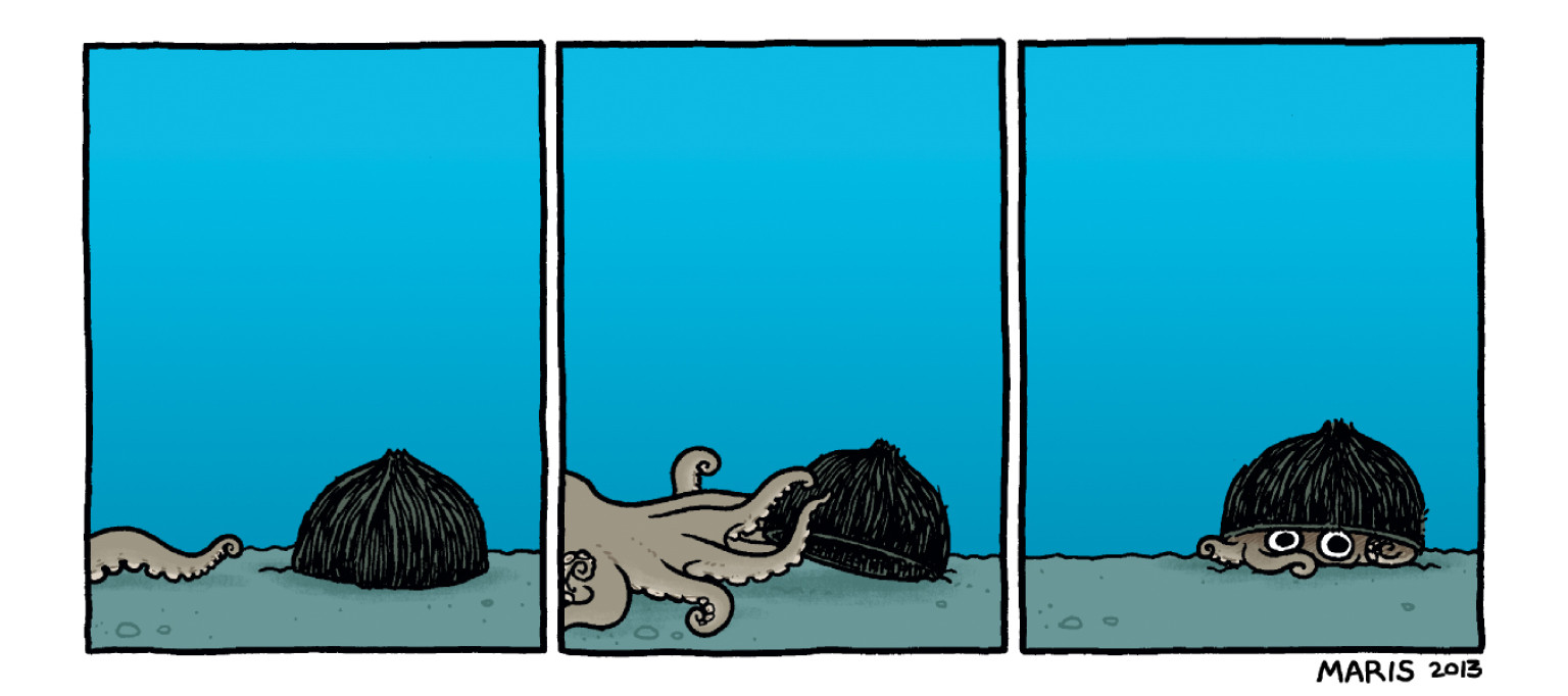 13 Animals Who Use Tools (NEW BOOK) HuffPost