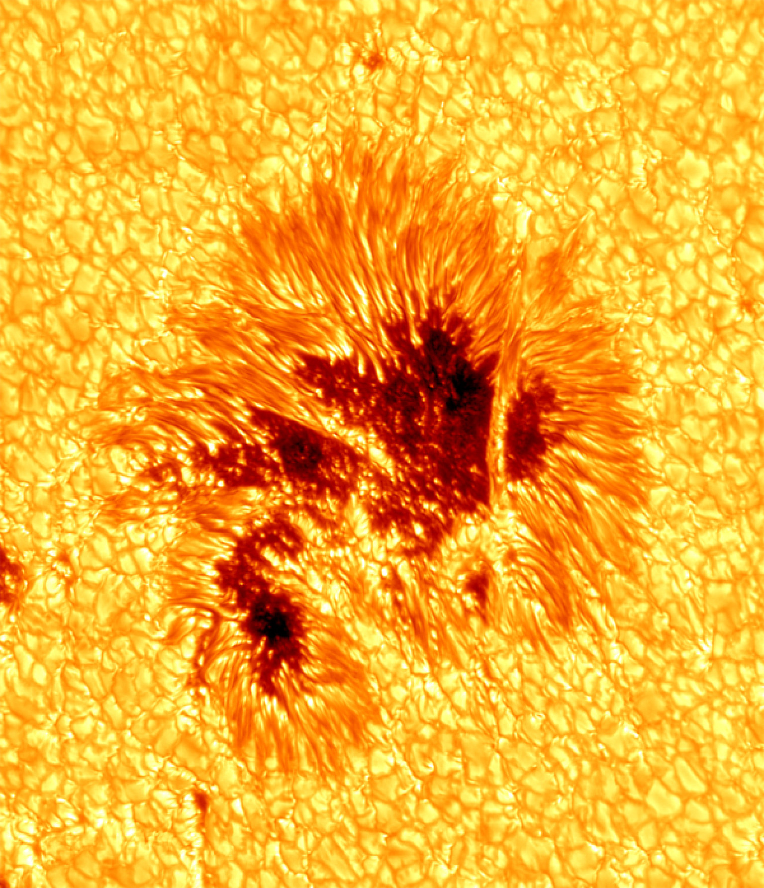 sunspot-photo-shows-solar-phenomena-in-never-before-seen-detail