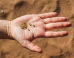 LOOK: Ancient Garbage Pit Mysteriously Full Of Treasure