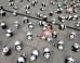 The Most Breathtaking Photos From Around The World This Week