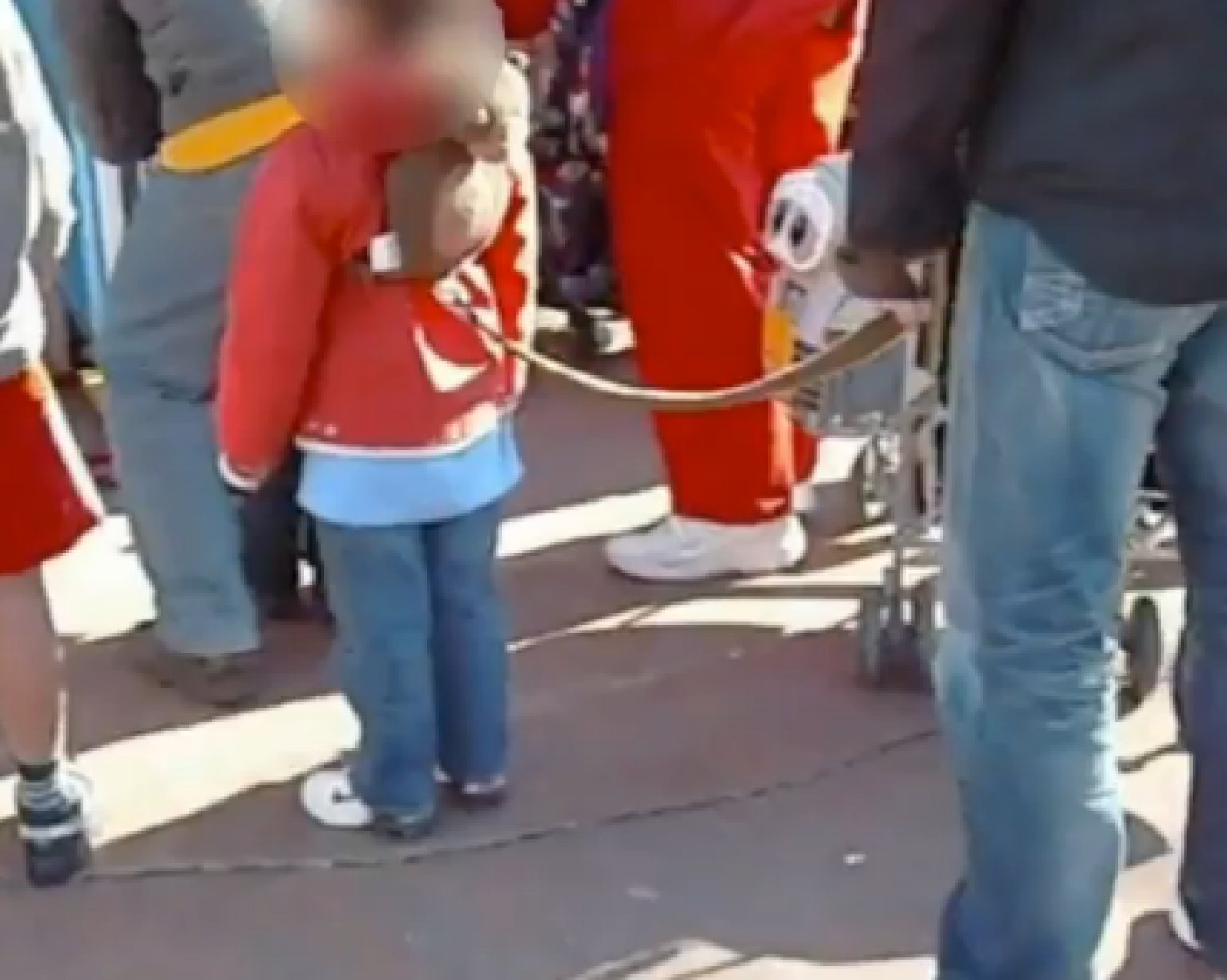 Child Leashes An Acceptable Alternative To Strollers? HuffPost