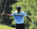 15 Photos Of A Frustrated Tiger