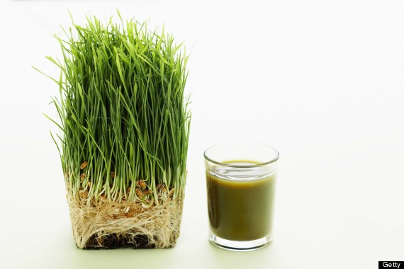 wheatgrass shot