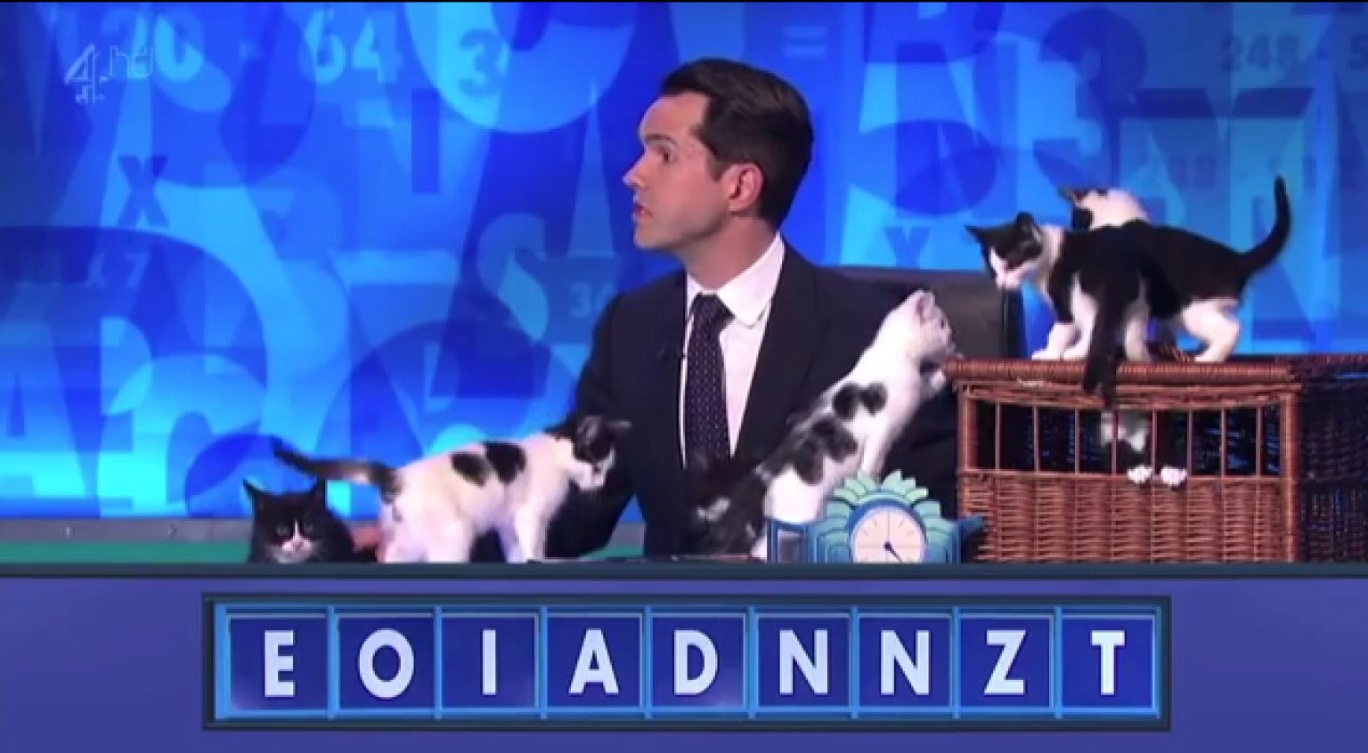 Kittens Take Over British Game Show: Jimmy Carr Tries To Distract Contestants On '8 ...1536 x 846