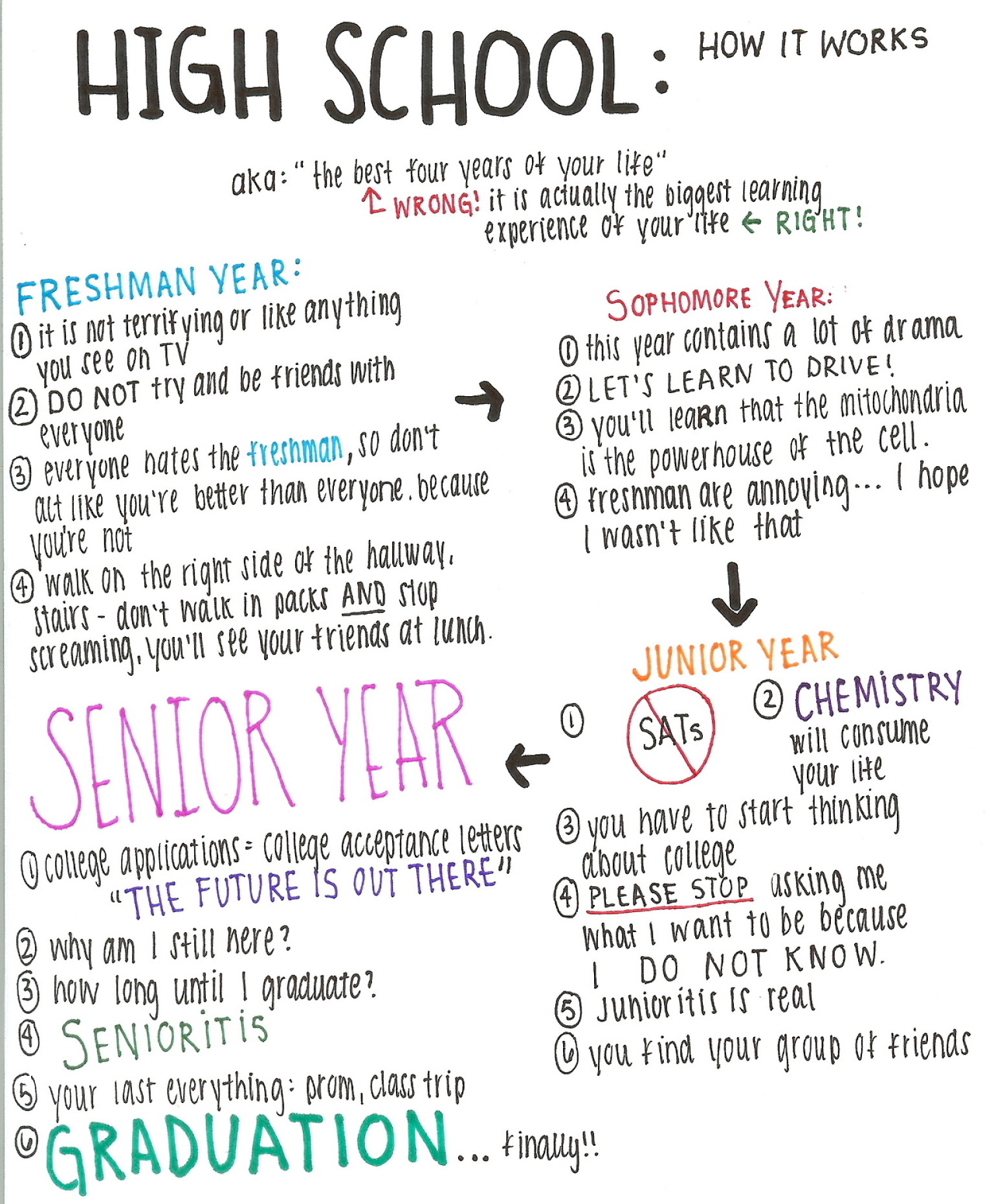Essay advice high school freshman