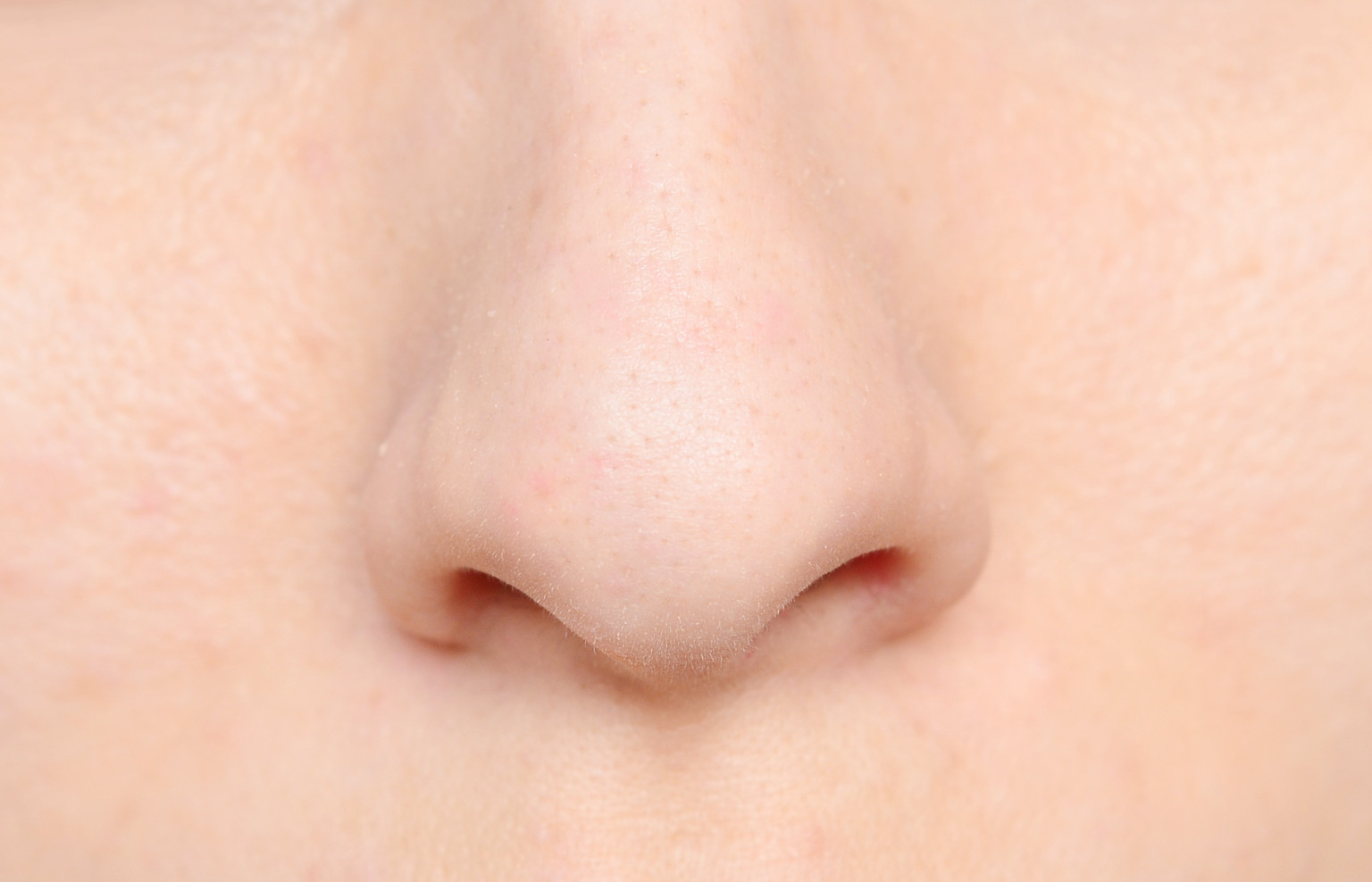 Nose Anatomy Stock Images, Royalty-Free ... - Shutterstock