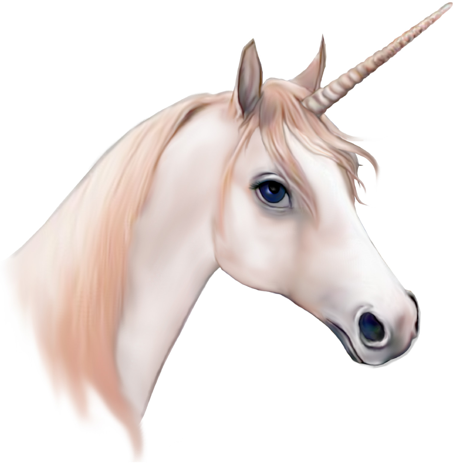 Realistic Unicorn Head >>
