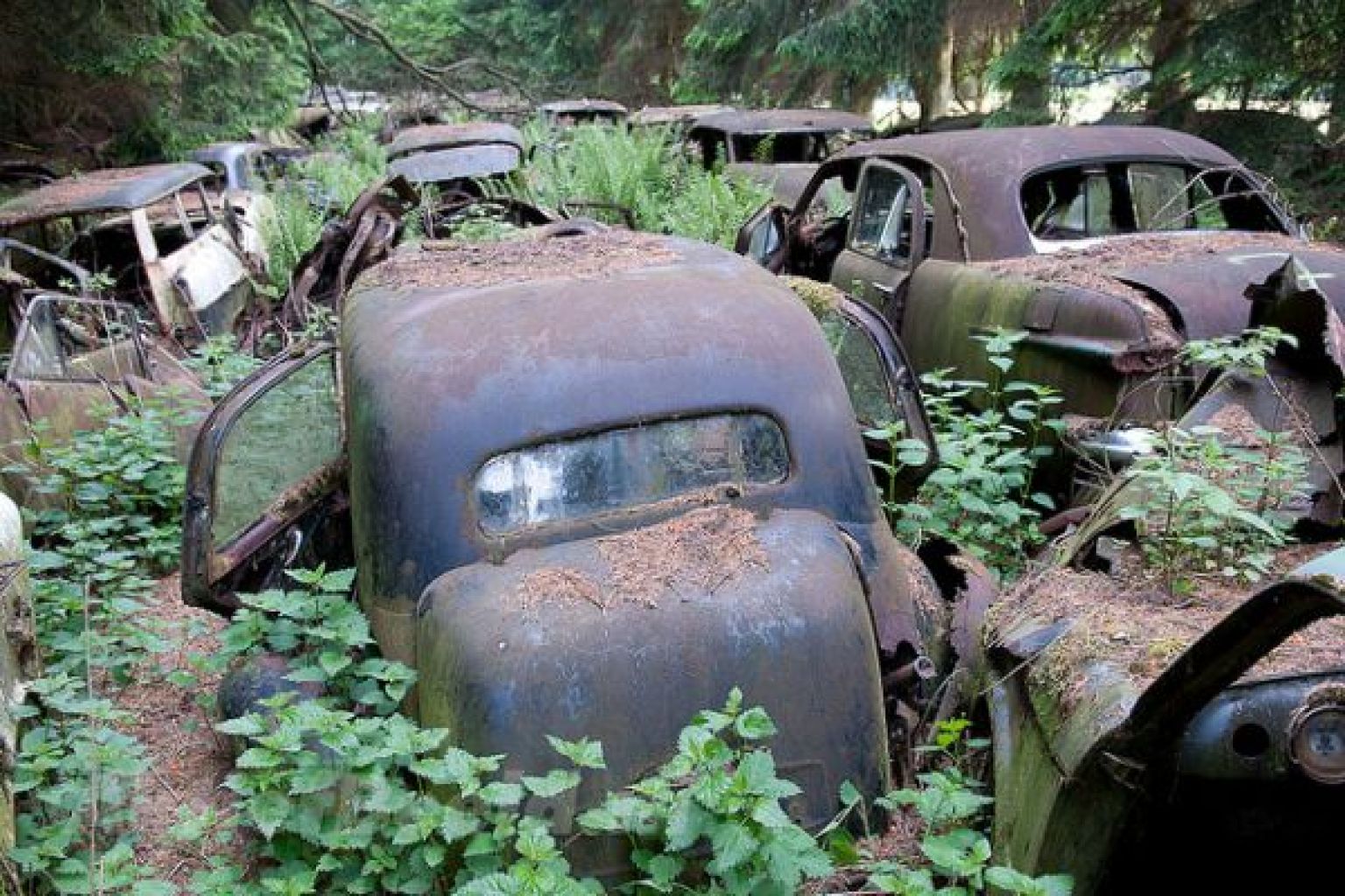 PHOTOS Belgium's Vintage WWII Vehicle Cemetery HuffPost