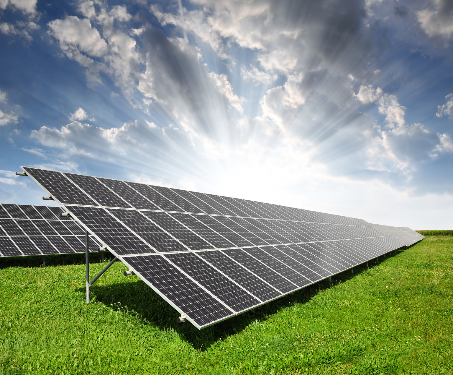 Morgan Solar: The Canadian Solar Company With a Sunny Future | David Dodge