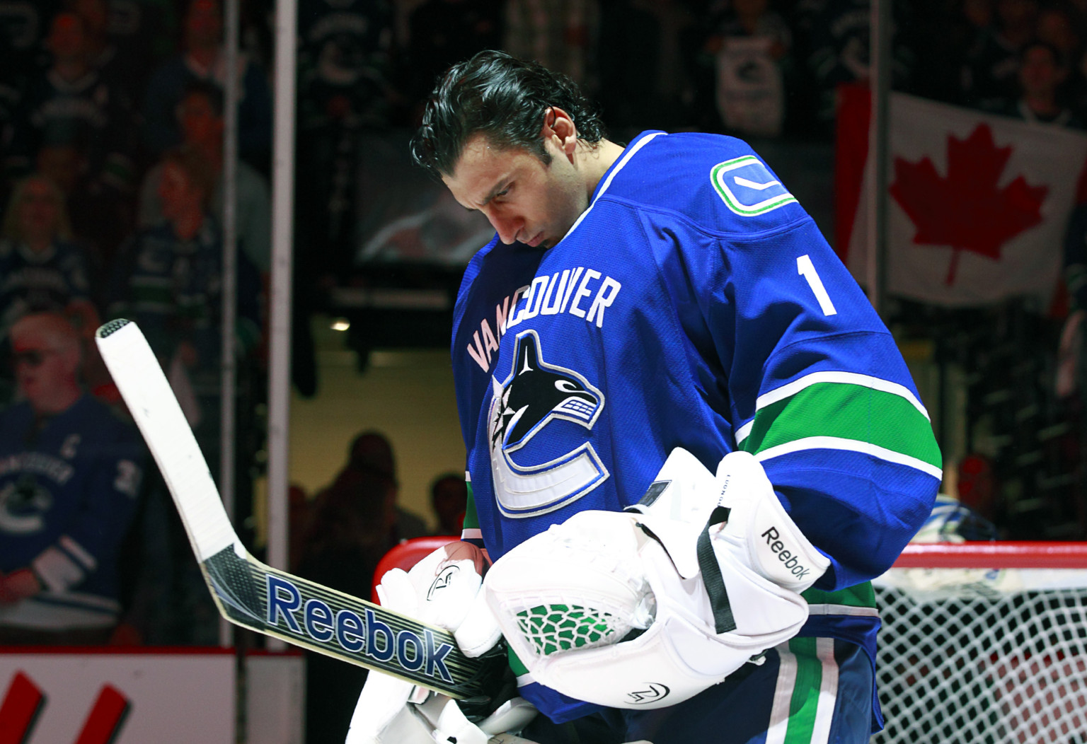 roberto luongo mcfarlane