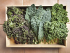 Is Kale The Only Green Superstar?  