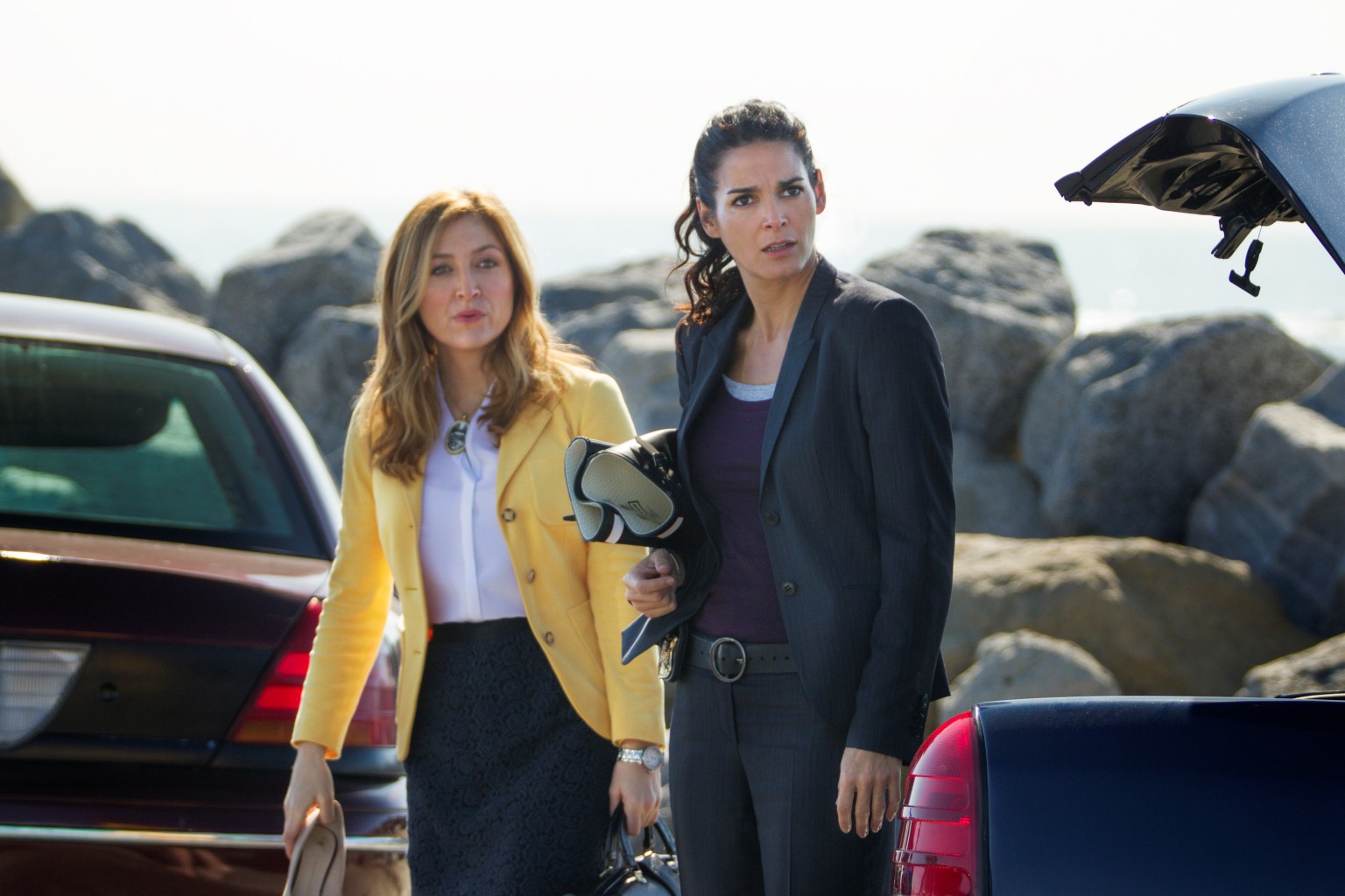 Angie Harmon's Message To Lesbian 'Rizzoli & Isles' Fans HuffPost