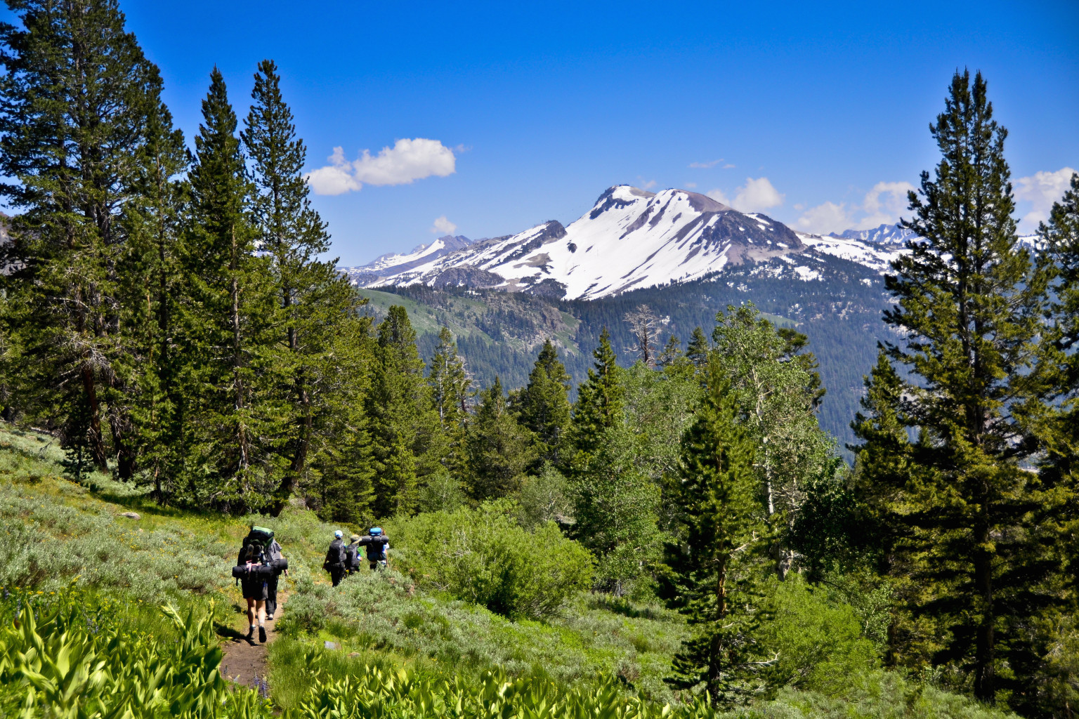 Josh Garrett, Hiker, Breaks World Record For Completing Pacific Crest