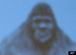 Silverton Bigfoot Hunt Turns Out To Be Million-Dollar Hoax