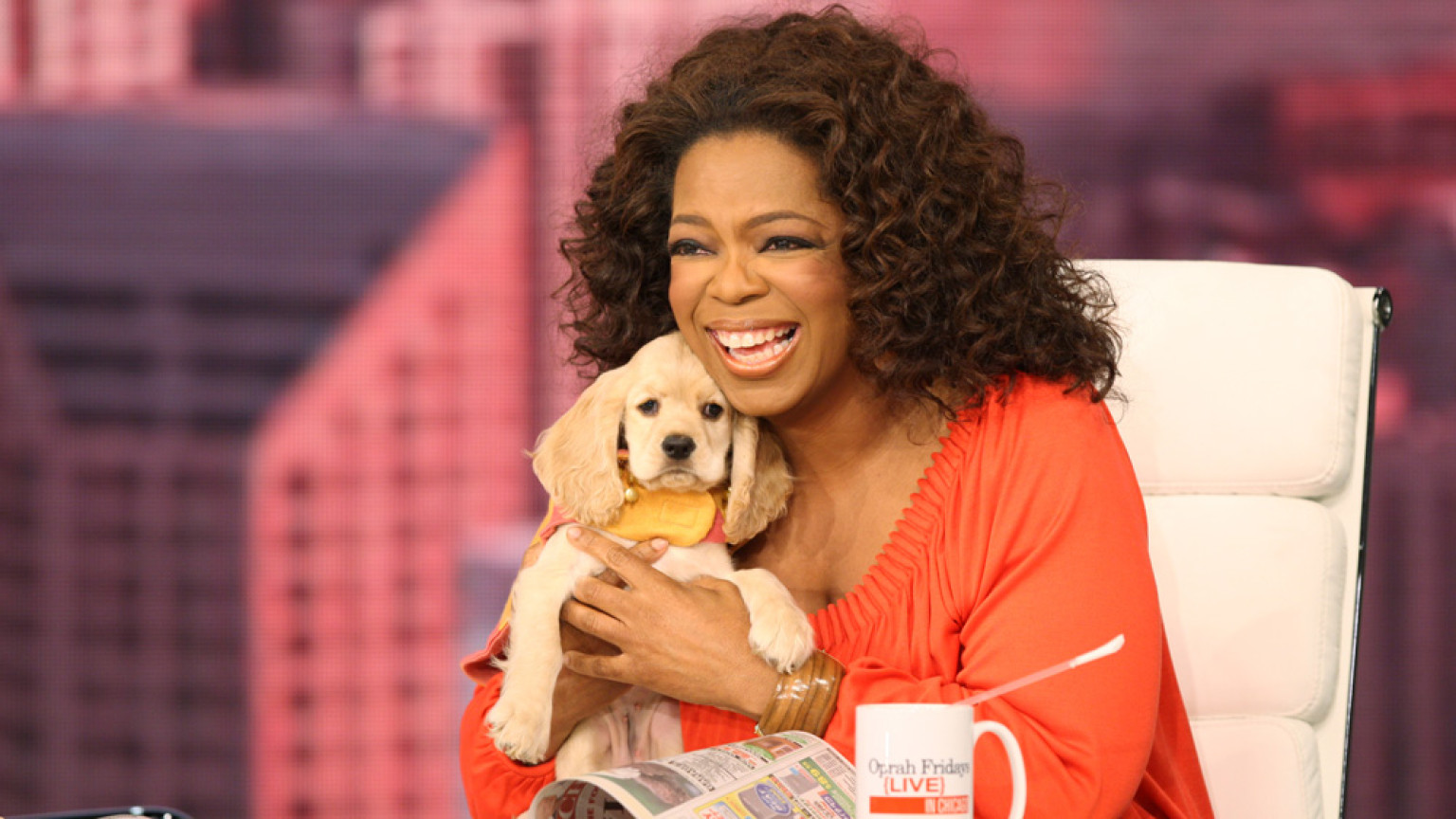 Why Are We So Obsessed With Our Pets? (VIDEO) HuffPost