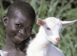 Africa and the Great Recession: Changing Times