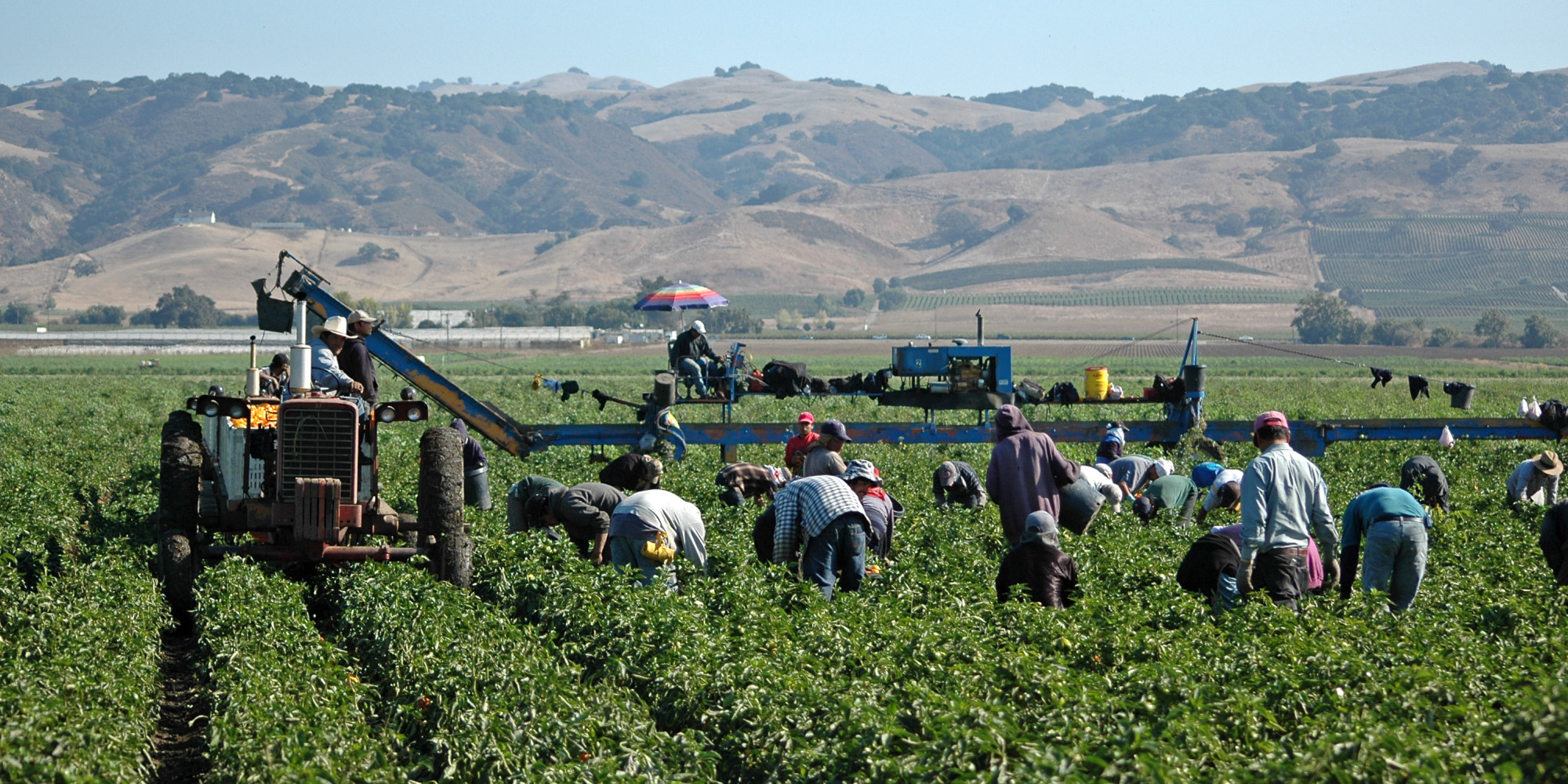 Tacking Health Care Costs Onto California Farm Produce HuffPost