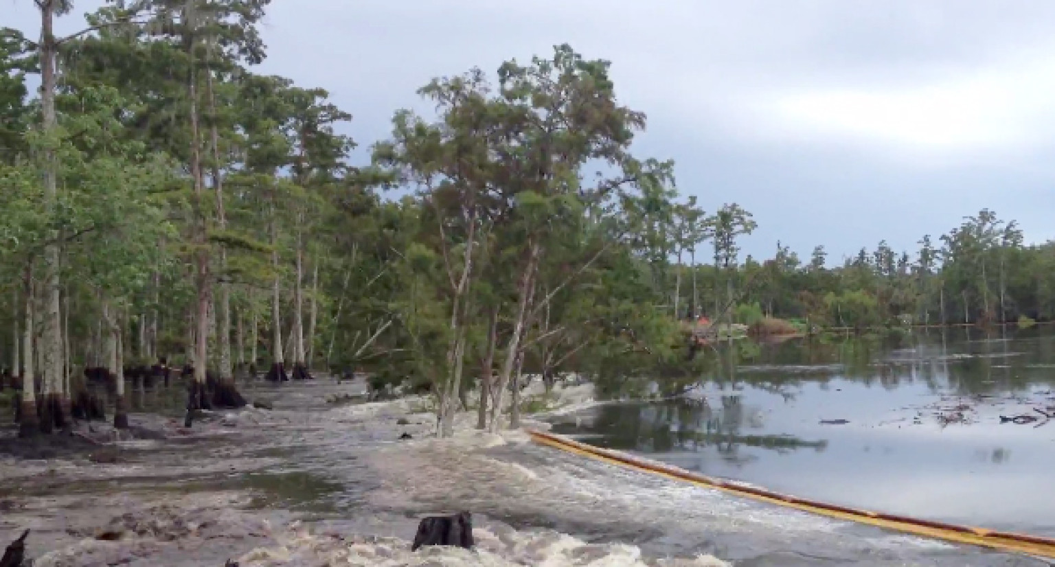 Louisiana Sinkhole Video Trees Disappear