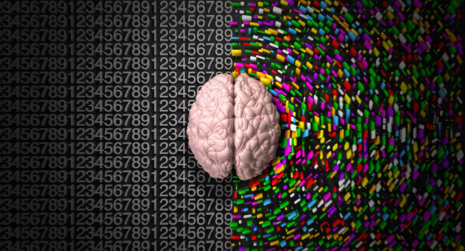Cervello, emisfero destro o sinistro? La neuroscienza ci spiega come
