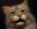 The Cat Video To End All Cat Videos