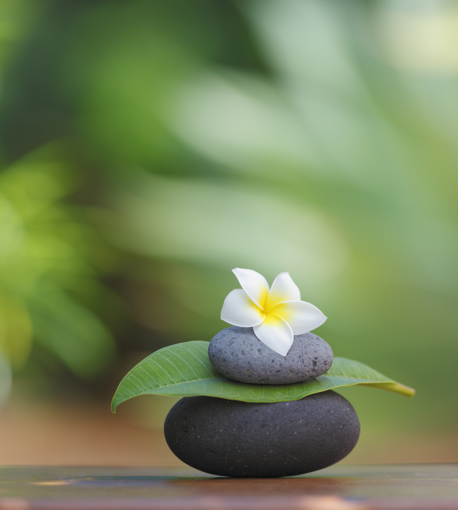 o-MEDITATION-facebook.jpg