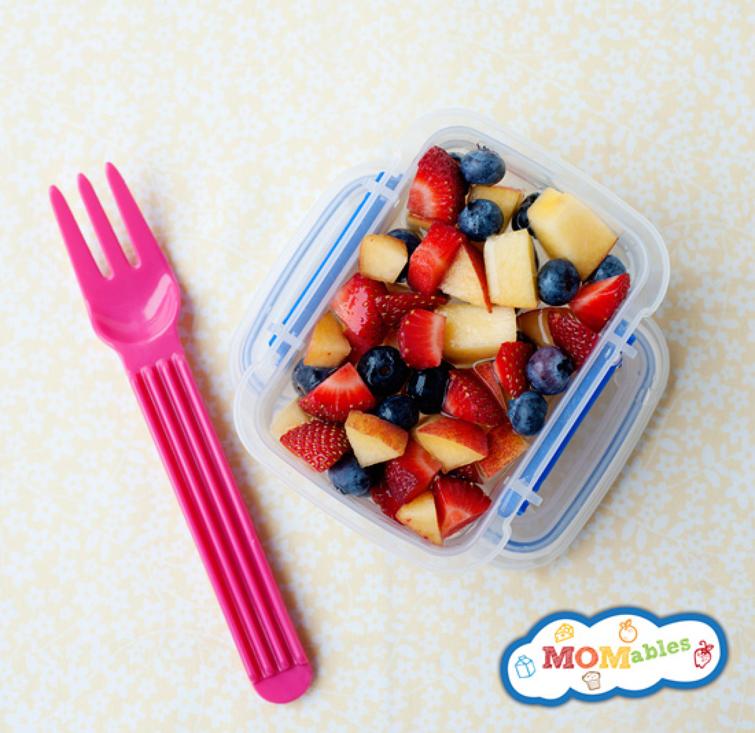 The School Lunch Project Homemade Fruit Cups HuffPost