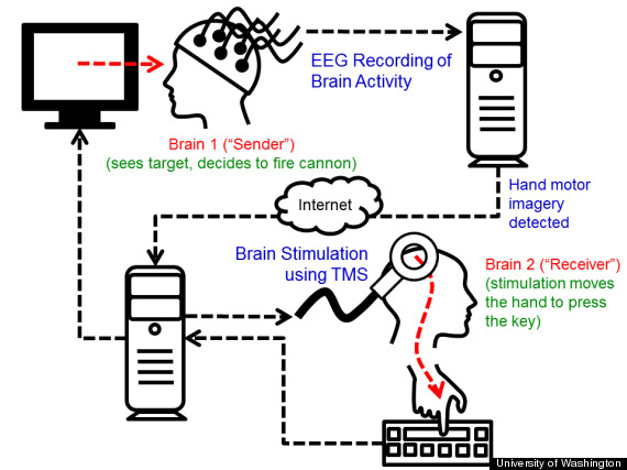 brainbrain