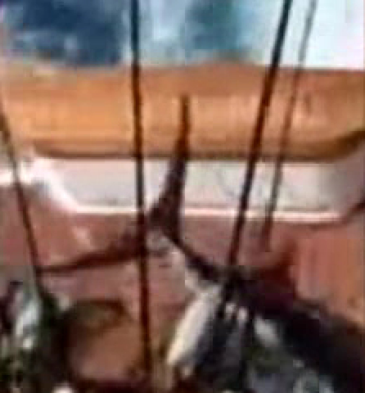 350Pound Marlin Jumps Onto Fishing Boat In Dominican Republic, Dies