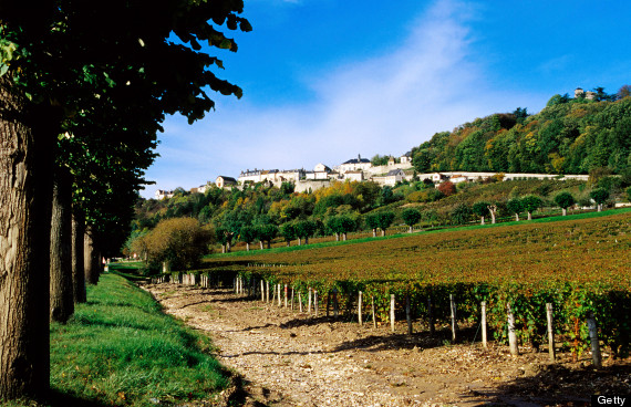 loire valley vineyard