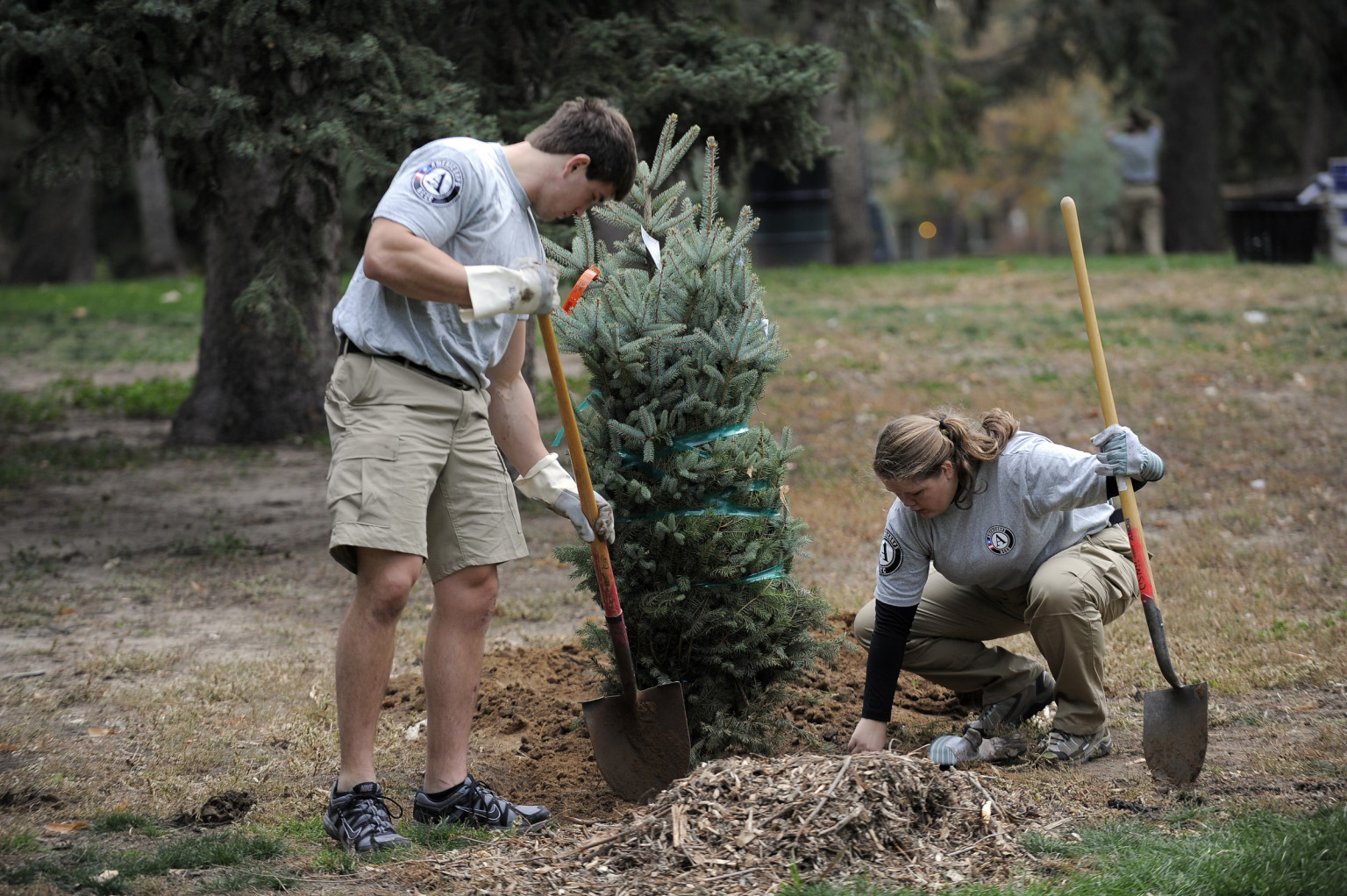 Americorps Vista Working With Partners To Expand Opportunity Huffpost