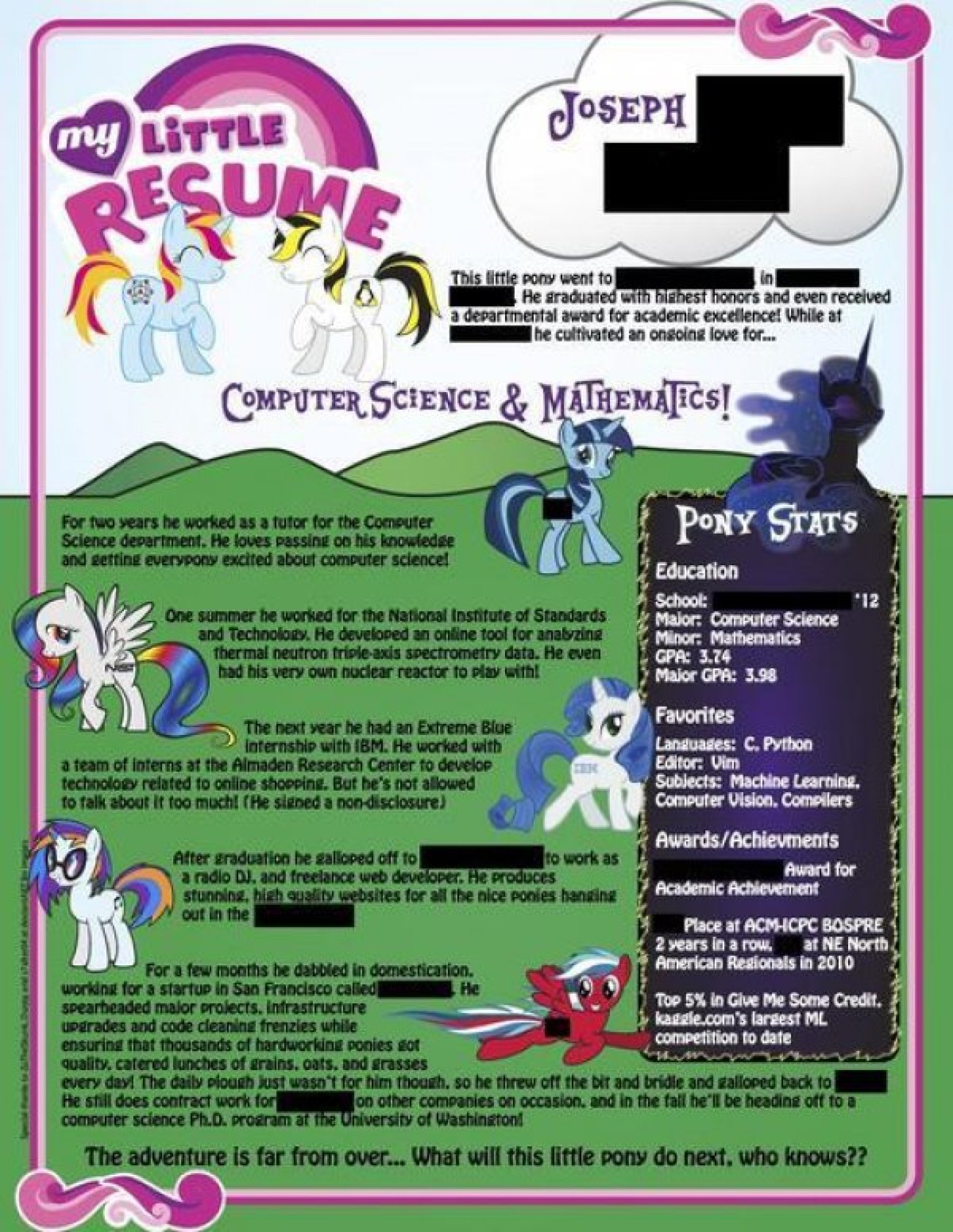 my little pony resume belongs to either the least or most employable person ever  photo