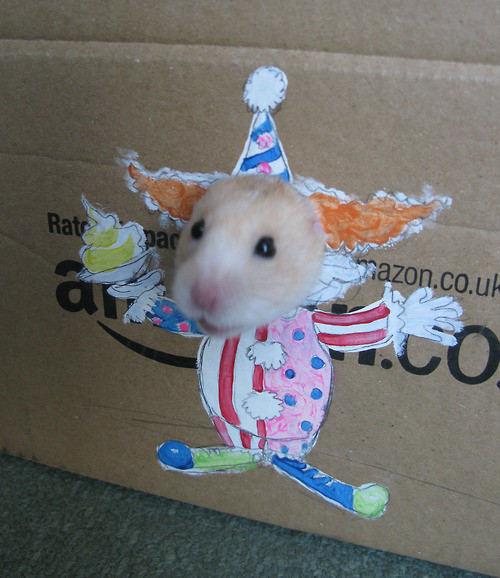 hamster clown