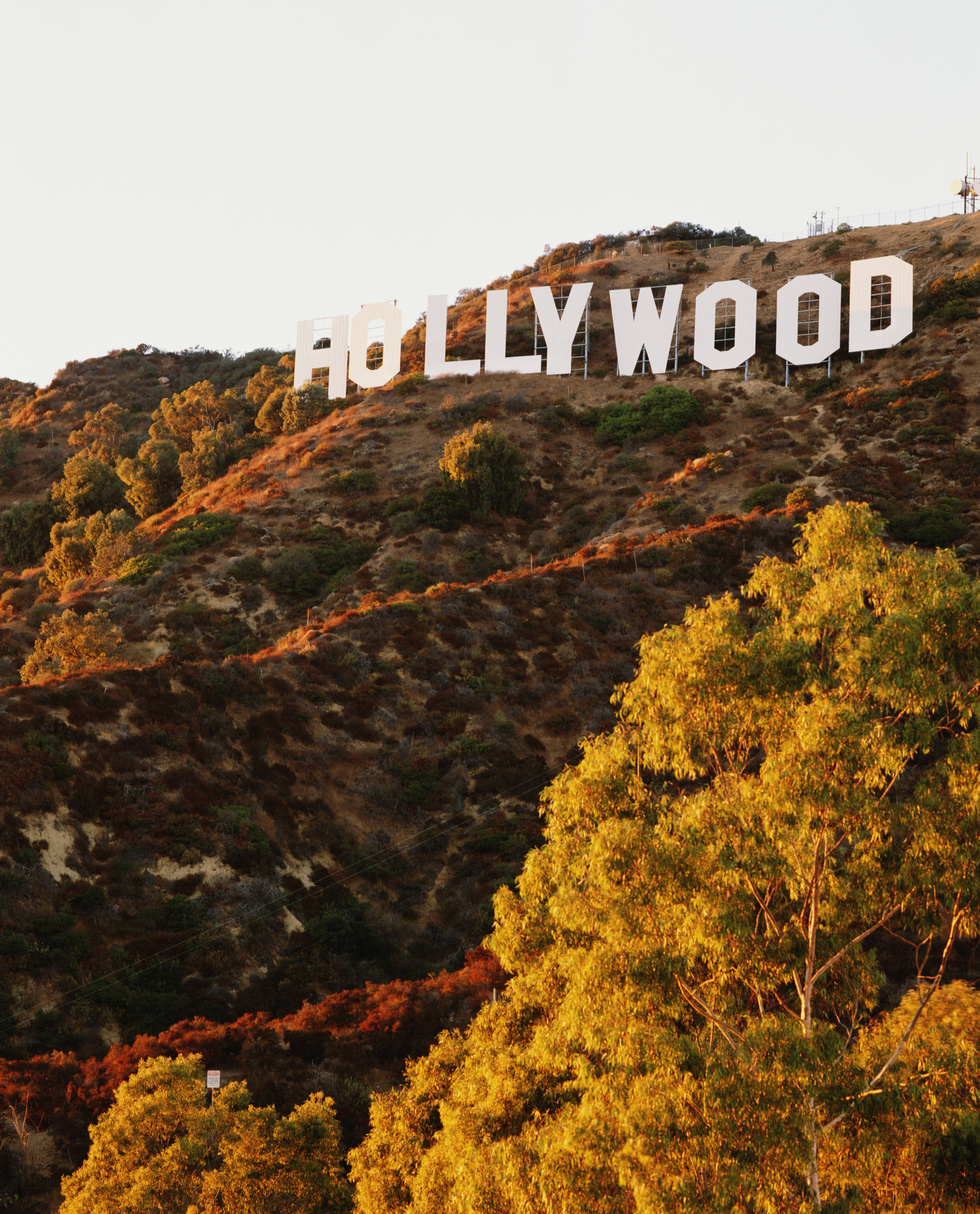 Hollywood Millennium Lawsuit: Homeowners Sue City Over Environmental