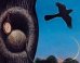 Ultimate List Of Literary One Hit Wonders
