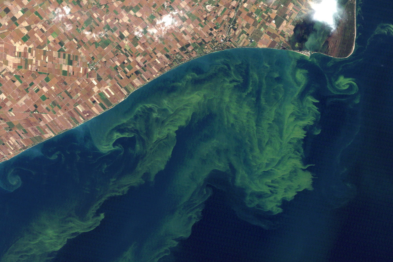 Lake Erie Algae 'Dead Zones' An Urgent Problem Report (PHOTOS)